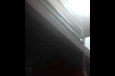 Little baby sister rabbit 🐇🐇🐇🐇🐇