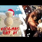 Vlogmas Day 21 - Cutting out my half pipe, playing with bunnies & I caught a crab!