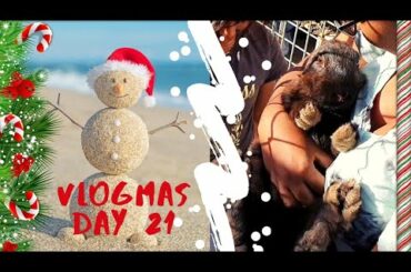 Vlogmas Day 21 - Cutting out my half pipe, playing with bunnies & I caught a crab!