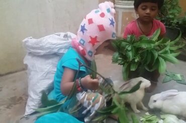 My daughter playing  with rabbits