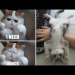 Cute baby animals Videos Compilation cute moment of the animals   Soo Cute! #45