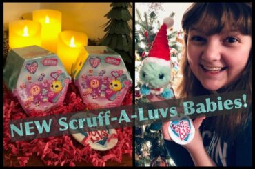 NEW Scruff a Luvs Babies - Cute Mini Surprise Pets to Rescue - Unboxing & Review