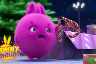 SUNNY BUNNIES - A Sunny Christmas | Season 1 | Cartoons for Children