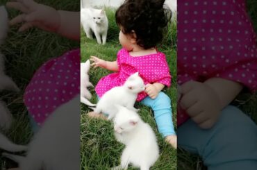 Cute Friendship baby & Rabbit 🐰