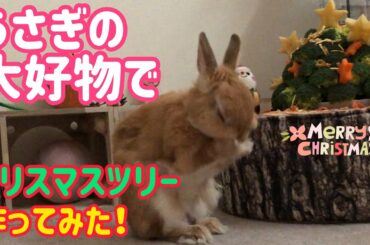 【うさぎ】食べられるクリスマスツリーを手作りしてプレゼントしてみた！【かわいい】Cute rabbit eat a christmas tree #72