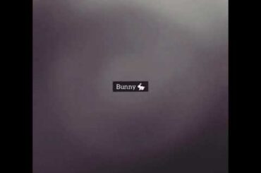 백예린 - Bunny 🐇 | cover라기엔 너무 짧은 cover