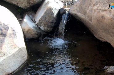 I just stayed looking at the rabbit 🐇😥😅