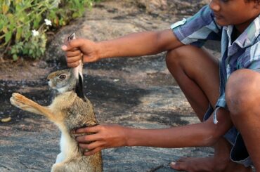 Rabbit Roast Preparation and Survival in Forest | Primitive Technology
