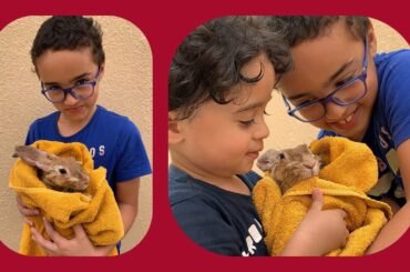 Rabbit Bath شاور الارنب