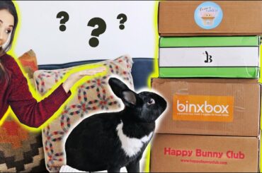 COMPARING ALL THE BUNNY SUBSCRIPTION BOXES! 😱