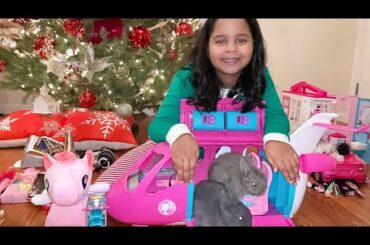 Barbie dreamplane and baby bunny