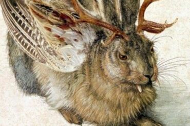 Jackalope: The Truth Behind The World's Scariest Rabbit