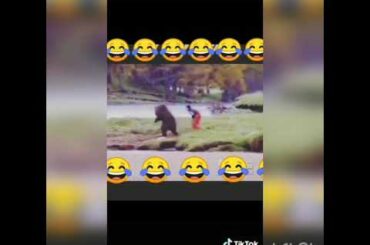 Most cute and funny 15 TIKTOK || cute rabbit || dog and birds funny moments|| must watch