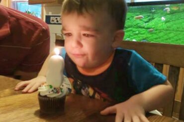 Best Funny Animal Videos #300 | Funny Baby Pet Videos | Funny Pet Bunny