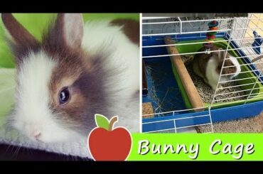 ★ Muchi the Bunny: Cage and Room SETUP ★