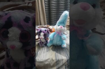 #toys #babygirl #bunny#rabbit#dancingtoy # musical toy