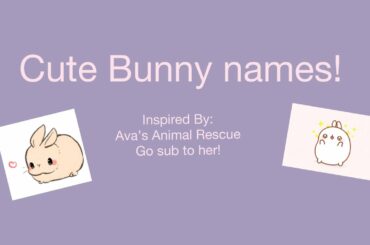 Cute Bunny names! Shoutout to Ava’s Animal Rescue