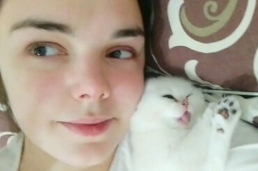 Funny Tiny kitten sneezed at me 🐱🥰 Too CUTE