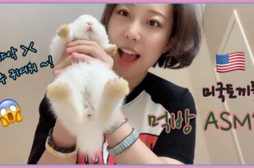 sub) Baby Bunnies' Dinnertime  [LuckeeDiva Ella]