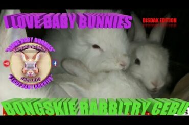 Dinner Time - Baby Bunnies - July 11, 2019