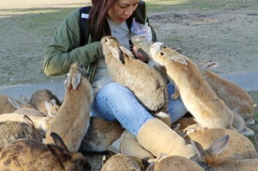 Wild Rabbits Attack Girl!