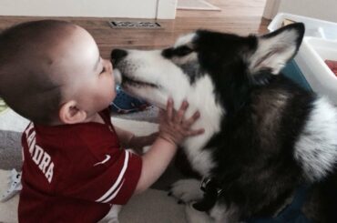 Best Funny Animal Videos #389 | Funny Pet Rabbits  | Funny Pet Raccoon Videos