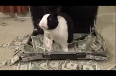 Rabbit Music Video: Snoop Dogg, Gin and Juice