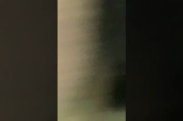 Funny baby bunnies sleeping in socks😂😂😂😂😂🤣🤣🤣