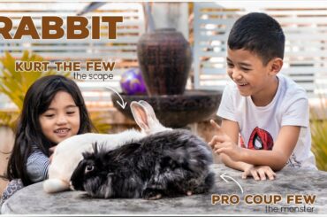 Meet Prokopyo & Kurdapyo | Cute Rabbit