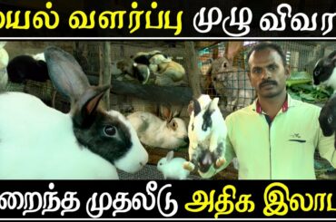 muyal valarpu in tamil | Rabbit farming complete guide | cage | food | care