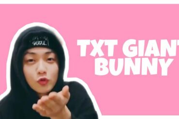 TXT GIANT BUNNY FUNNY AND CUTE MOMENTS