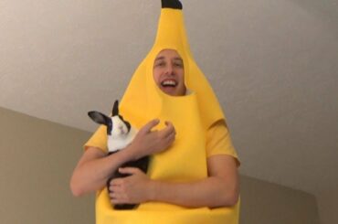 Rabbit Advocate Episode 3 - Get Back to Bed!