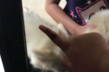 ! Cute puppy named Tress ! ( ft.BunnyHeart Lover324 )