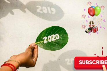 English spot rabbit  in kerala .#rabbit #rabbitfarming #2020  rabbit farming, white giant rabbit,