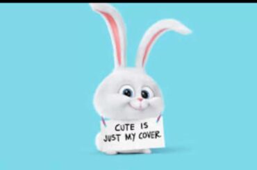 The cute rabbit Snowball in The Secret Life of Pets movie - Trailer