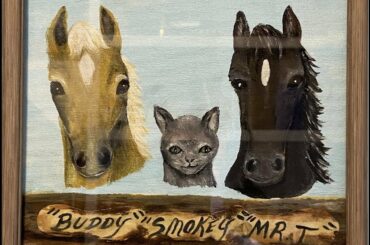 Visit With Critters - Found Mama Rabbit After This Video So Still Have Two