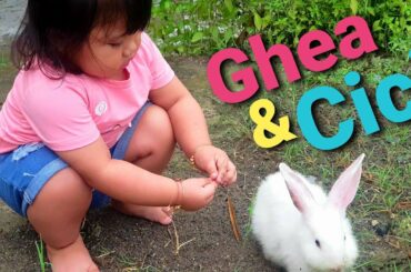 Ghea | si Cici Kelinci Bikin Gemes | Bermain dengan Kelinci | ウサギと遊ぶ幼児 | Toddler playing with Rabbit