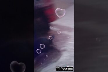 Cute rabbit / animals talent / pet lover  / amazing  video /marlin rabbit  video / what's app status