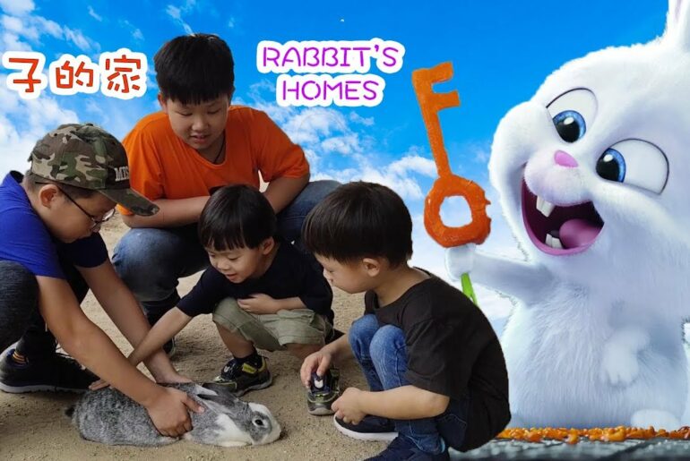 #Bunny #Rabbit #FamilyDay 兔子的家 Rabbit's Home
