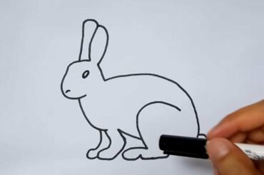 How to Draw a Cute Kangaroo Sketch Drawing + Easy Step by Step Outline Tutorial for Beginners