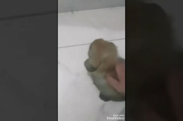 Cutest Bunny 🐰🐰