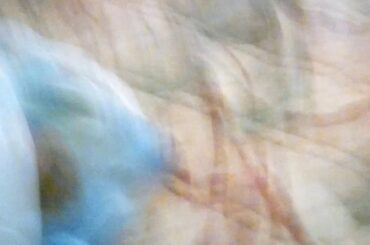 Cinnamon the Rabbit 🐇