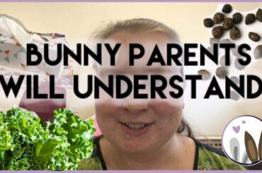 Only Bunny Parents Will Understand