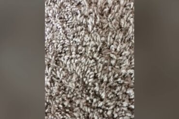 Drawing baby the bunny