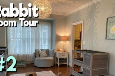 Rabbit Room Tour 2 - BEST Bunny Setups!