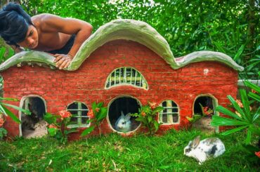 Building Rabbit Castle Mud Brick For Wild Bunny From Mud
