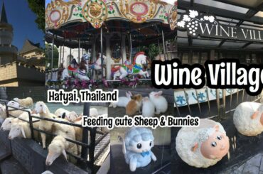 Wine Village in Hatyai, Thailand | Feeding Cute Sheep & Bunnies