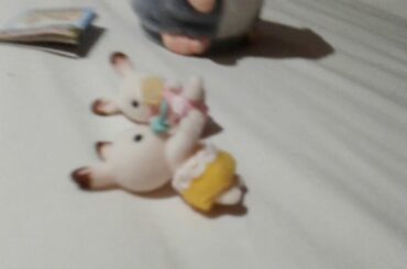 Family of Rabbit' s  (two baby twins)