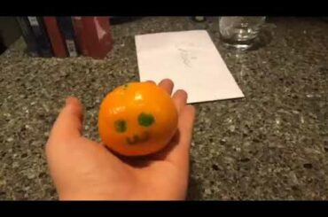 Orange and the baby rabbit