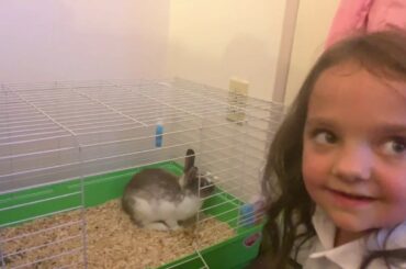 We surprised our kids with a new pet rabbit | baby bunnies new name